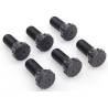 Engine Steering Wheel Screw Kit for Zetec 2.0L - 11x100