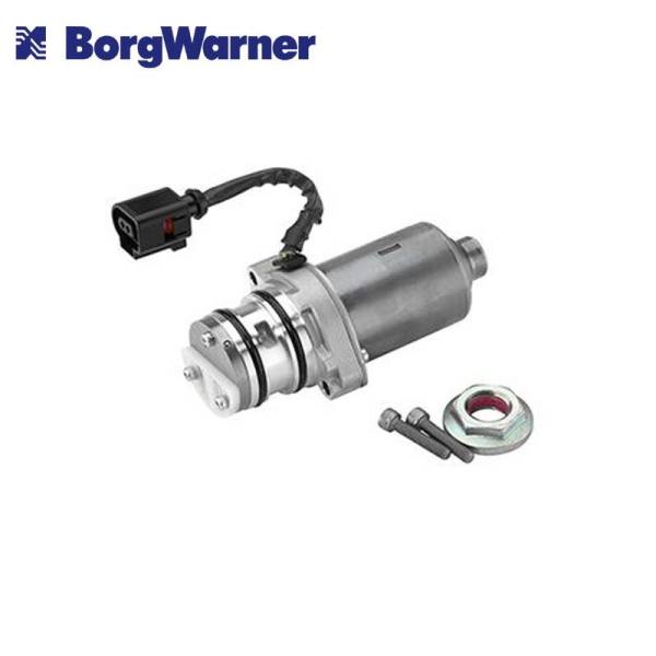 Pompa per assali FORD/Volvo/Range Rover Borgwarner 4ª generazione 9V4N-4C019-AA
