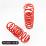 Dynaparts Lowering FR/RE (mm) Springs for Honda CIVIC III - AF/AS NA/40