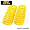 short spring kit for BMW 5 Series