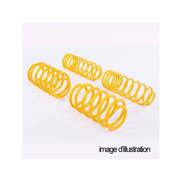 kit molle ribassate per SUZUKI Swift V