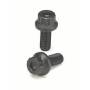 Pulley screw for 1.6L Mini Cooper
