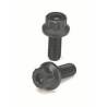 Pulley screw for 2.0L Zetec - Distribution pulley screws