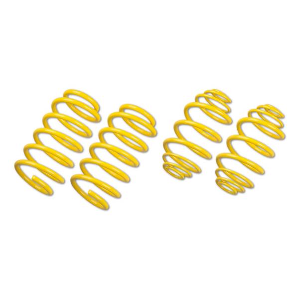 Tieferlegungsfedern ST Suspension für Model 3 2WD 2019+
