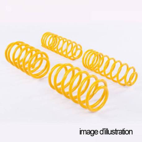 spring kit for AUDI A4 Quattro B8