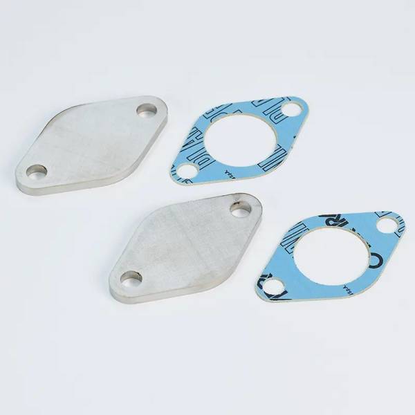 EGR blanking plates kit for TDI VAG