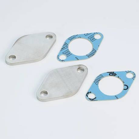 EGR blanking plates kit for TDI VAG
