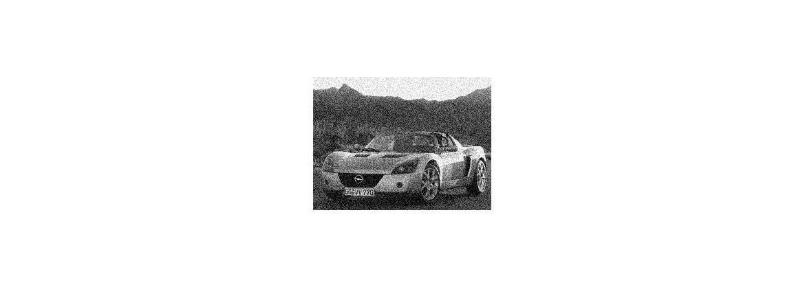 Speedster 