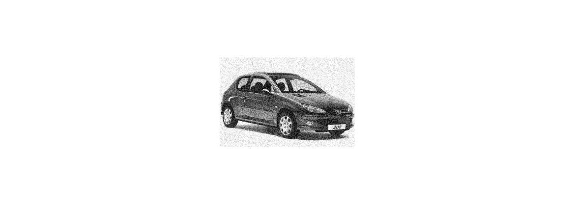 206 SW (station wagon)