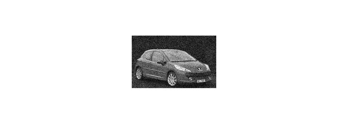 207 CC