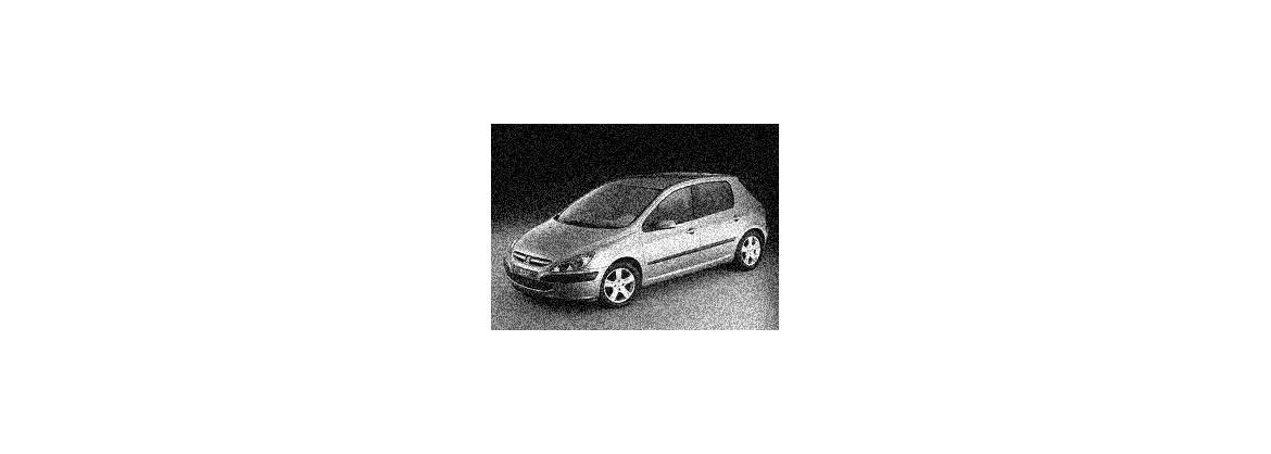 307 SW (Kombi)