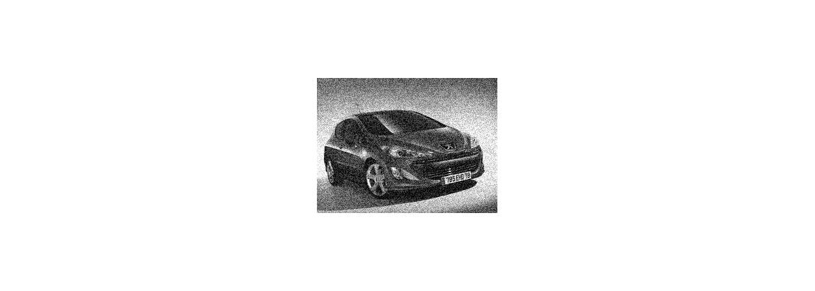 308 SW (familiar)
