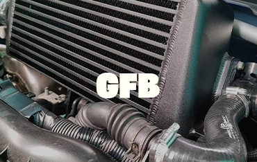 Our GFB products