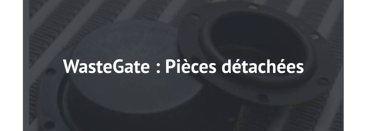 WasteGate: Recambios