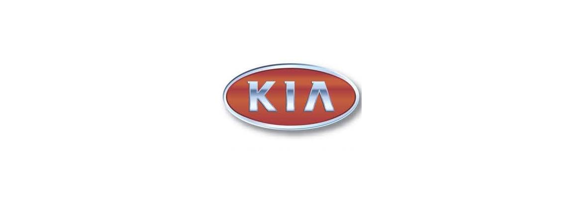 Groupe Kia / Hyundai