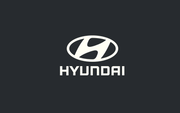 HYUNDAI Lowering Springs