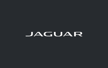 JAGUAR Lowering Springs